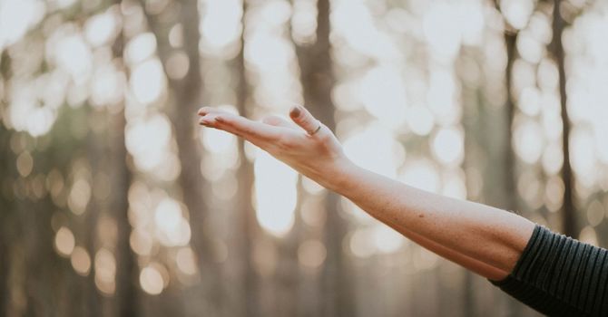 Acupuncture: A Simplified Explanation for Our Outer Banks Friends  image